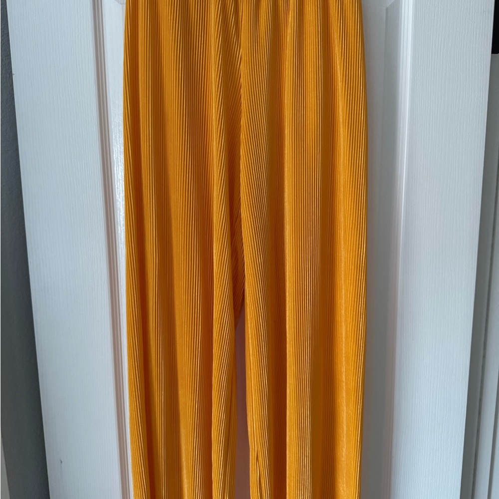 Vibrant orange Pleated Pants